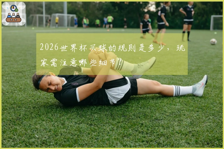 2026世界杯买球的规则是多少，玩家需注意哪些细节？