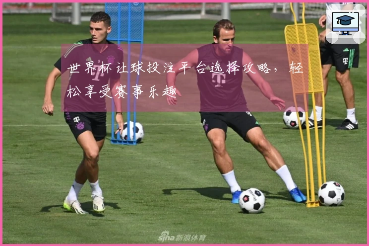 世界杯让球投注平台选择攻略，轻松享受赛事乐趣