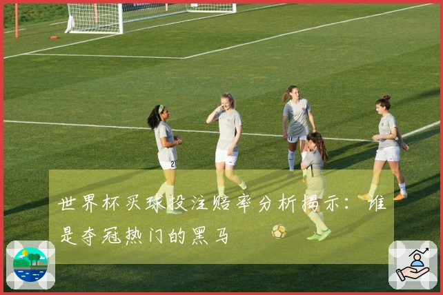 世界杯买球投注赔率分析揭示：谁是夺冠热门的黑马