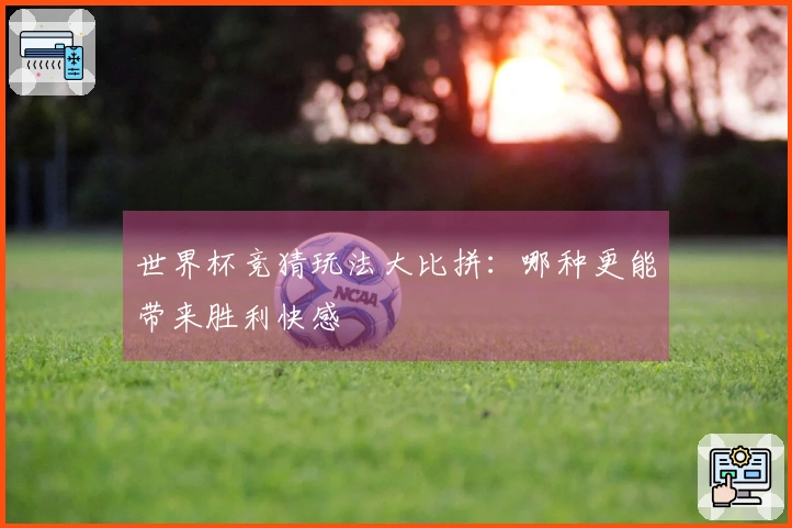 世界杯竞猜玩法大比拼：哪种更能带来胜利快感