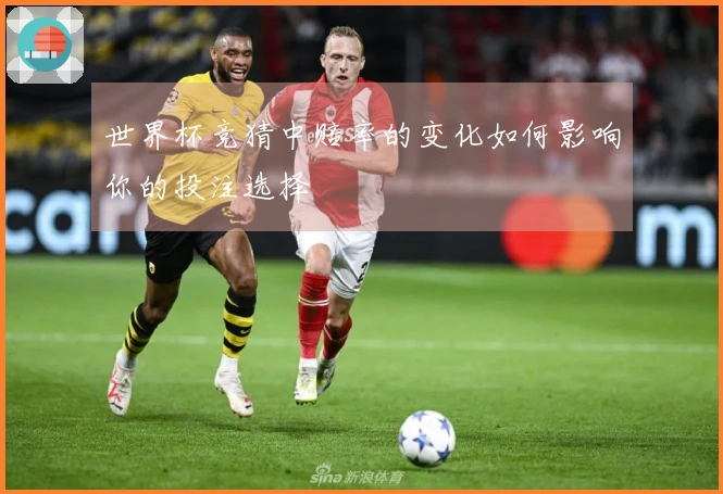 世界杯竞猜中赔率的变化如何影响你的投注选择