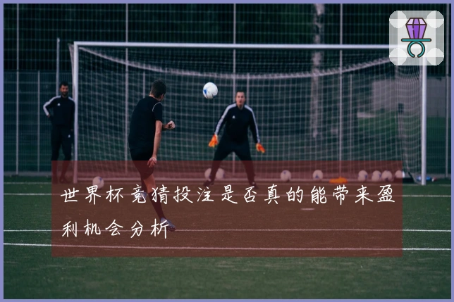 世界杯竞猜投注是否真的能带来盈利机会分析