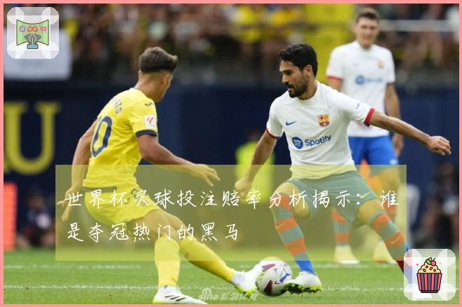 世界杯买球投注赔率分析揭示：谁是夺冠热门的黑马