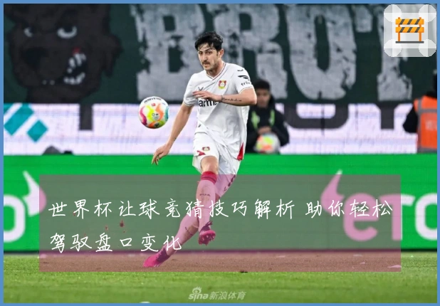 世界杯让球竞猜技巧解析 助你轻松驾驭盘口变化