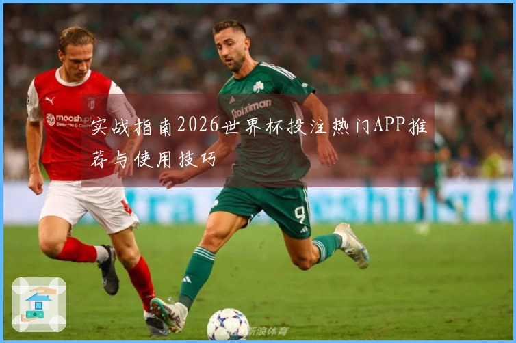 实战指南2026世界杯投注热门APP推荐与使用技巧