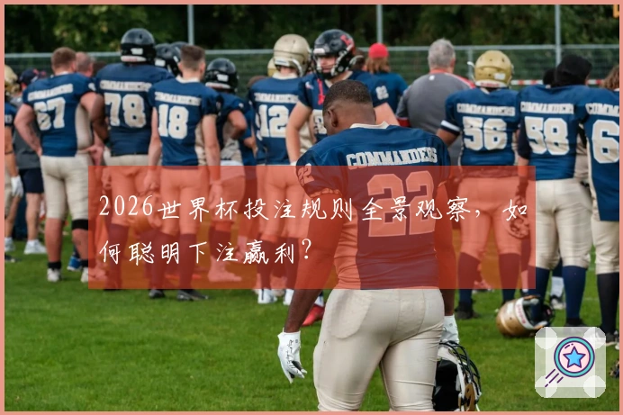 2026世界杯投注规则全景观察，如何聪明下注赢利？