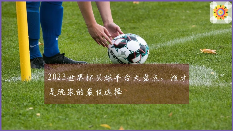 2023世界杯买球平台大盘点，谁才是玩家的最佳选择