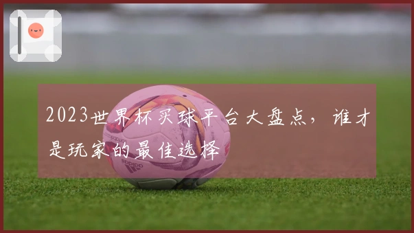 2023世界杯买球平台大盘点，谁才是玩家的最佳选择