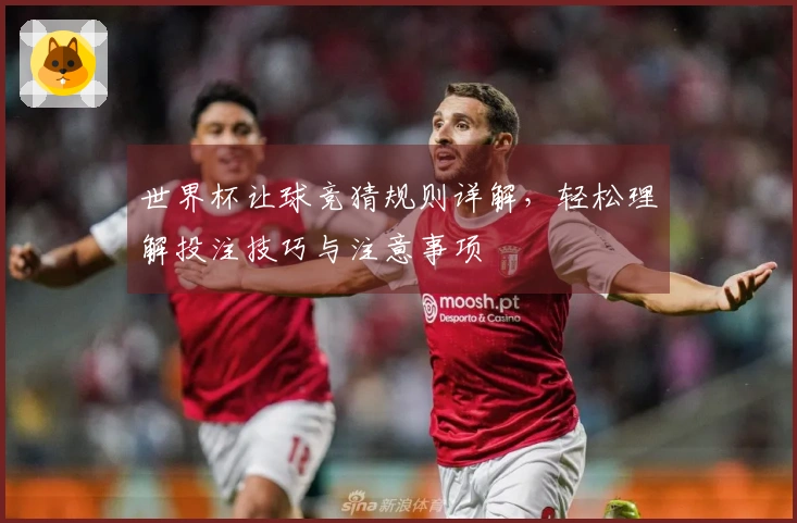 世界杯让球竞猜规则详解，轻松理解投注技巧与注意事项