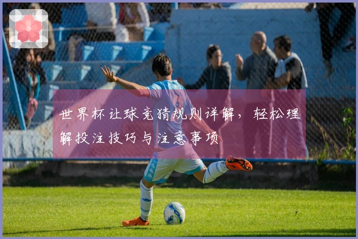 世界杯让球竞猜规则详解，轻松理解投注技巧与注意事项